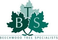 Beechwood Tree Specialists 371751 Image 0